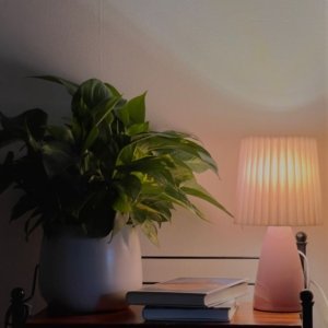 Vintage Table Lamp