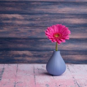 Deluxe 3D Printed Vase